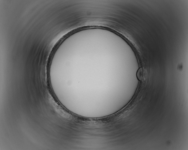 X0000116620980200912312135