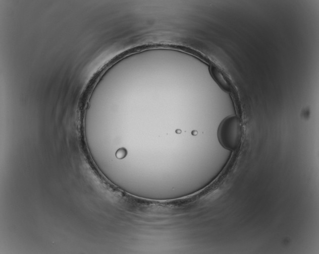 X0000116620981200912312135