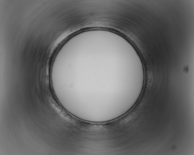 X0000116620982200912312135