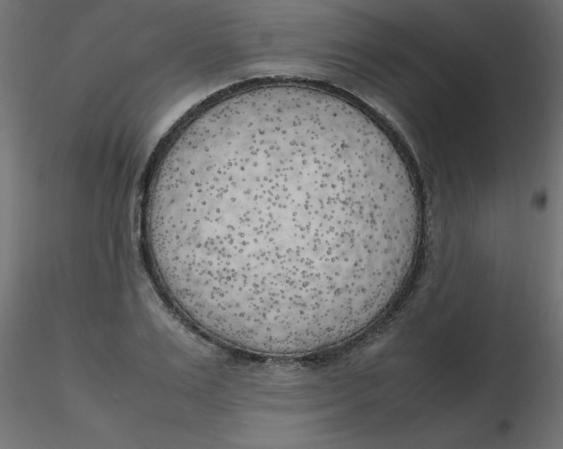 X0000116620983200912312135