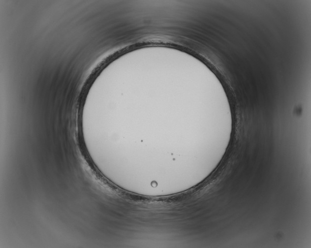 X0000116620984200912312135