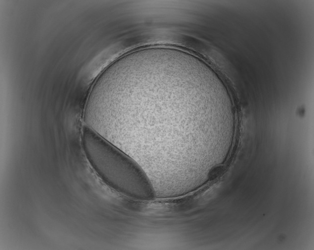 X0000116620985200912312135