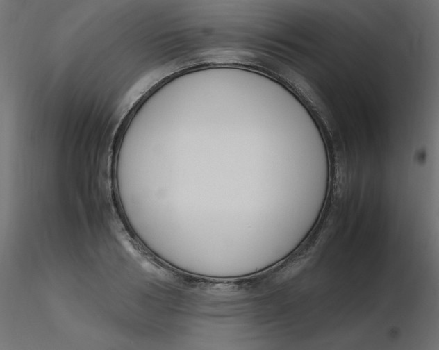 X0000116620986200912312135