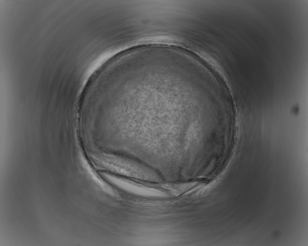 X0000116620989200912312135