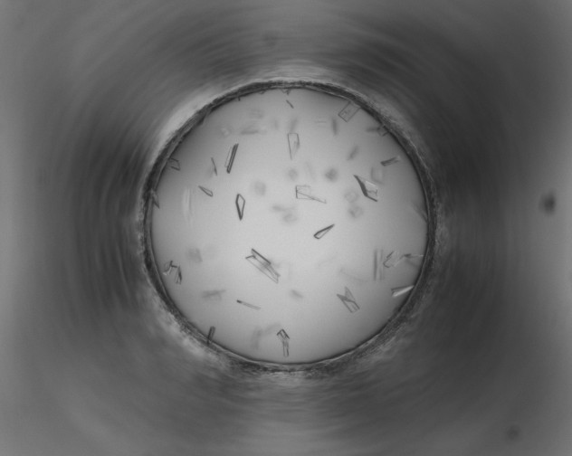 X0000116620990200912312135