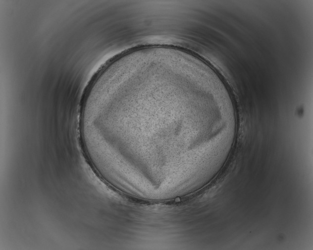 X0000116620992200912312135