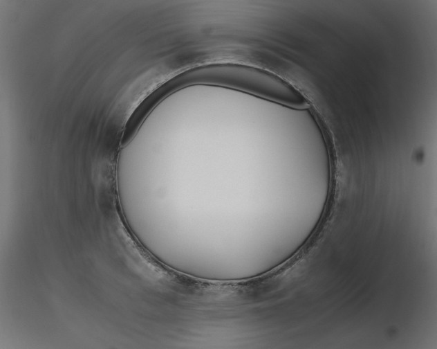 X0000116620993200912312135