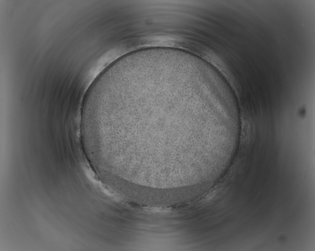 X0000116620994200912312135