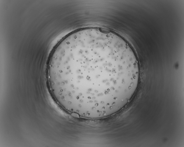 X0000116620995200912312135