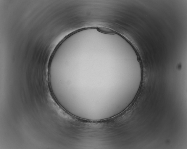 X0000116620996200912312135