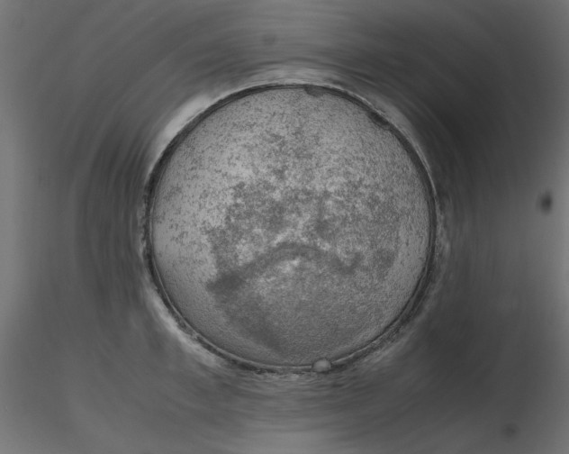 X0000116620997200912312135