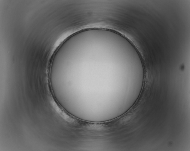 X0000116620998200912312135