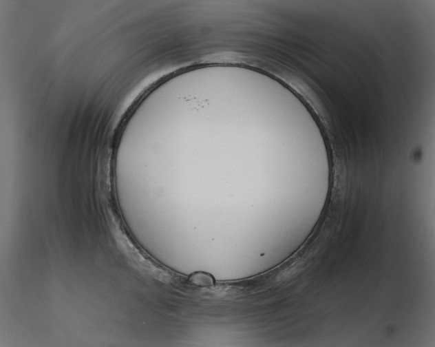 X0000116621000200912312135