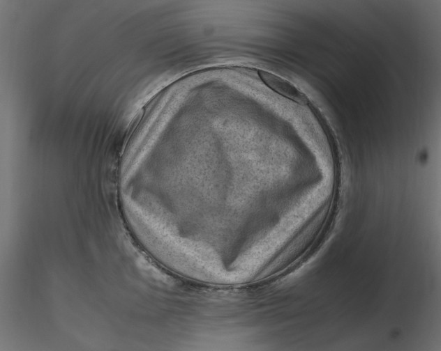 X0000116621001200912312135