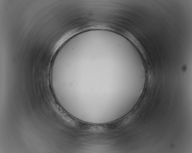 X0000116621002200912312135