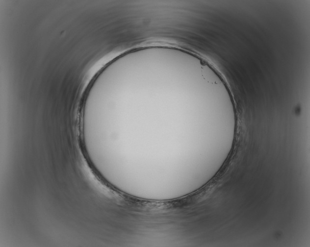 X0000116621003200912312135