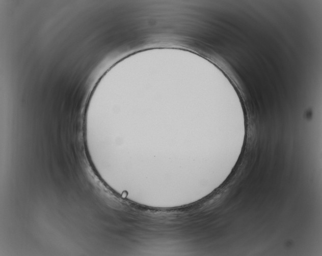 X0000116621004200912312135