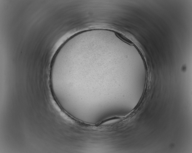 X0000116621005200912312135