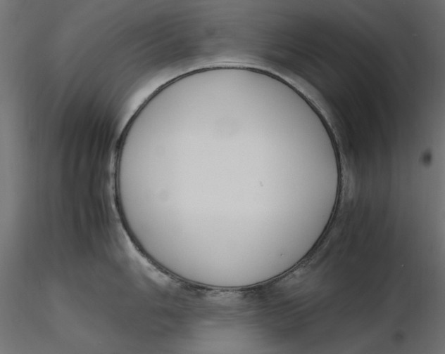 X0000116621006200912312135