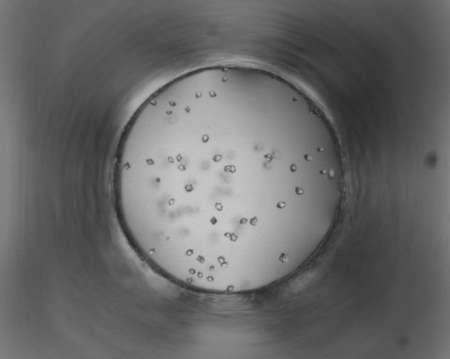 X0000116621007200912312135