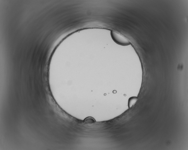 X0000116621008200912312135