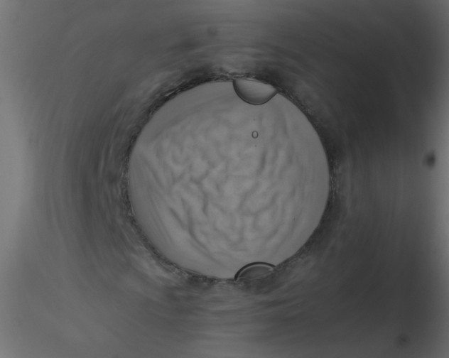 X0000116621009200912312134