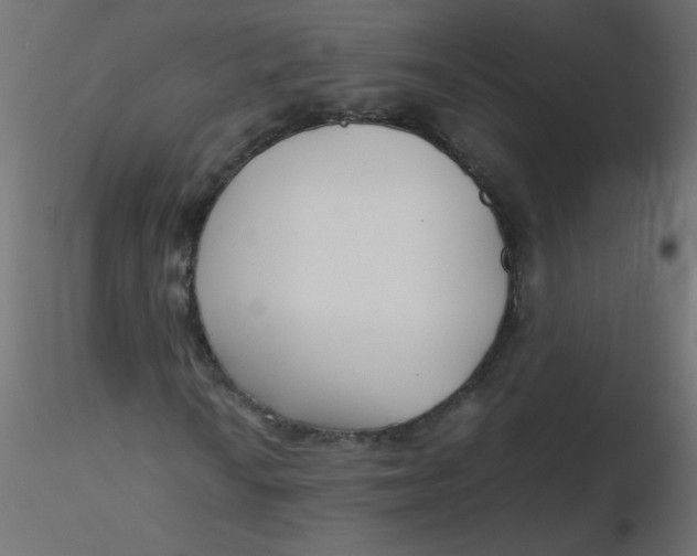 X0000116621010200912312134