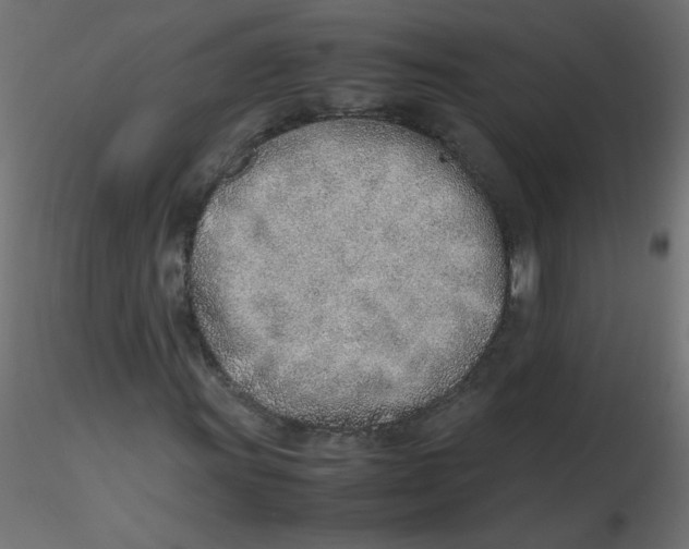 X0000116621011200912312134