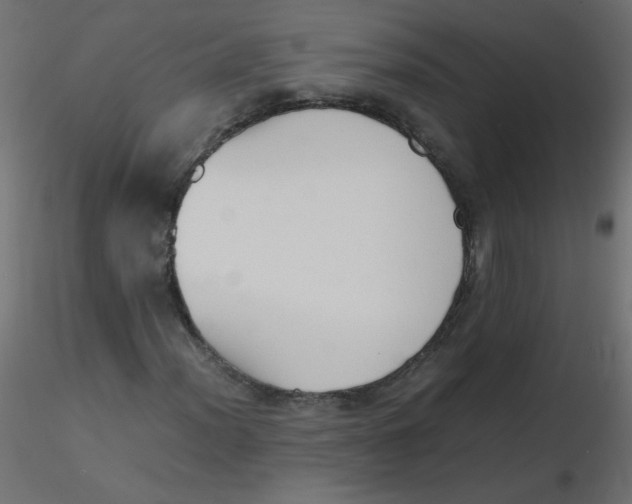 X0000116621012200912312134