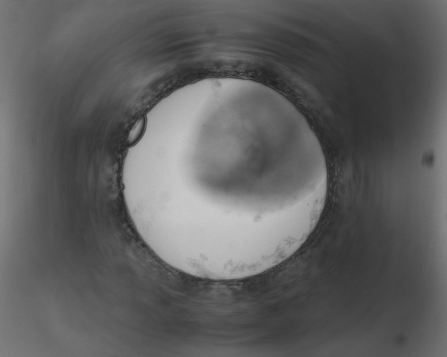 X0000116621013200912312134