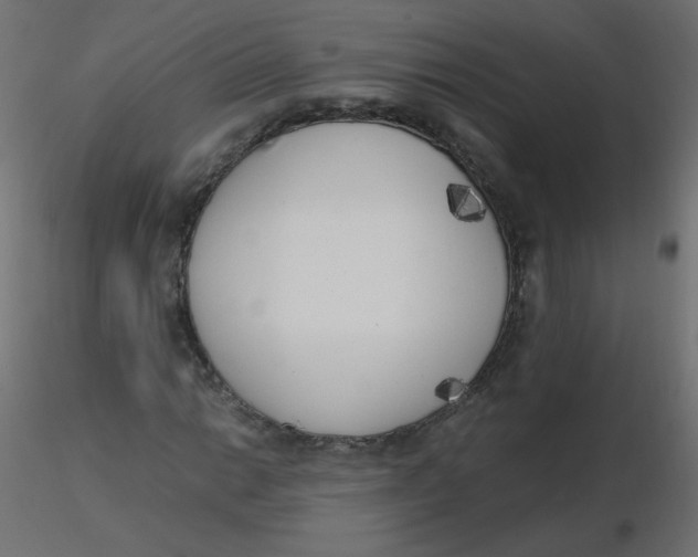 X0000116621014200912312134