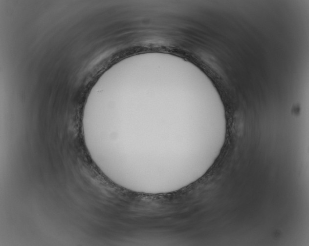 X0000116621015200912312134