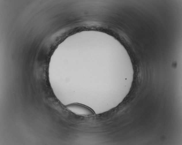 X0000116621016200912312134