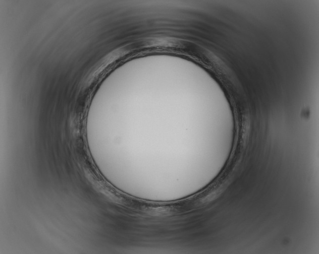 X0000116621017200912312134