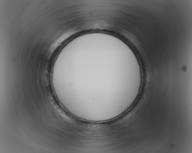 X0000116621018200912312134