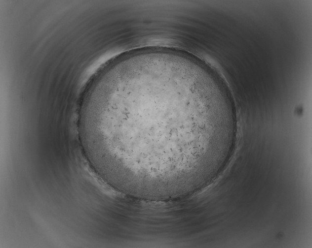 X0000116621019200912312134