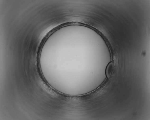 X0000116621020200912312134