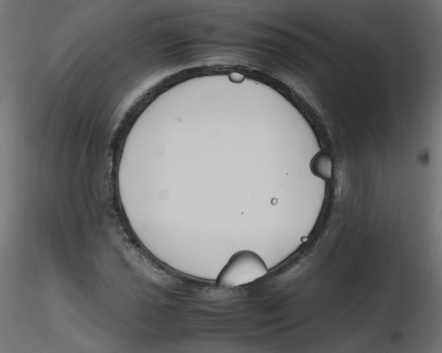 X0000116621021200912312134