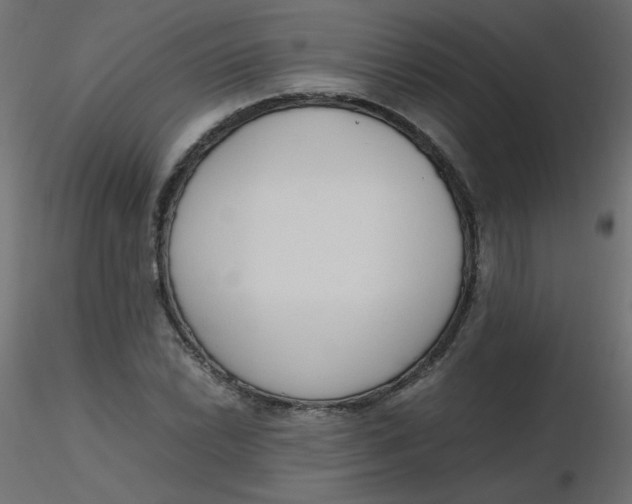 X0000116621022200912312134