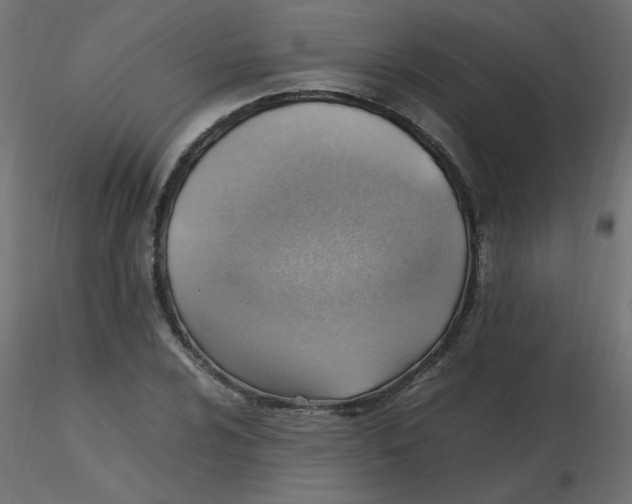 X0000116621024200912312134