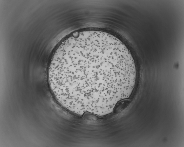 X0000116621025200912312134