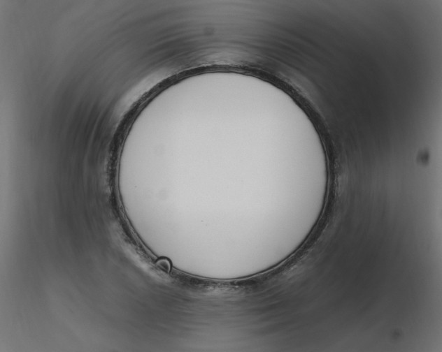 X0000116621026200912312134