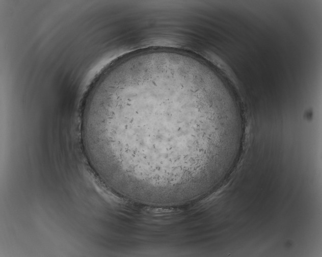 X0000116621027200912312134