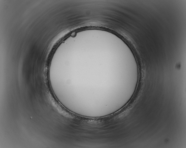 X0000116621029200912312134