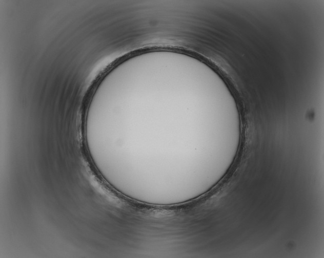 X0000116621030200912312134