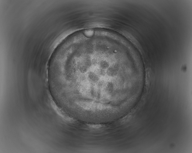 X0000116621031200912312134