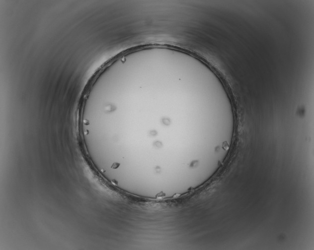 X0000116621032200912312134