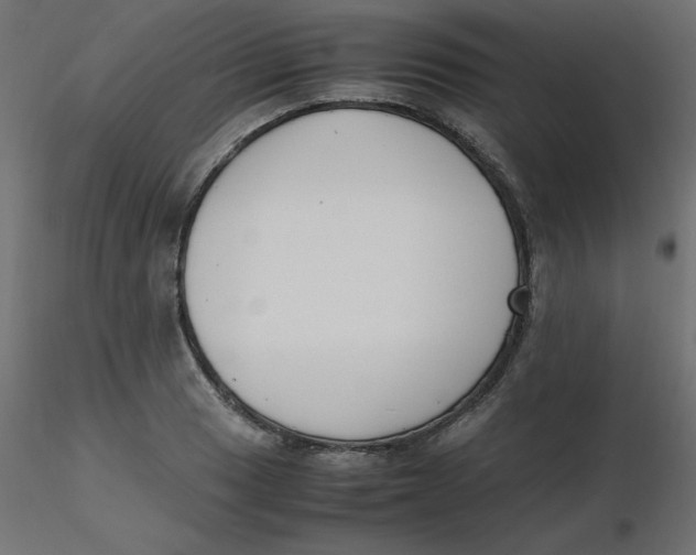 X0000116621033200912312134