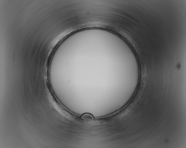 X0000116621034200912312134