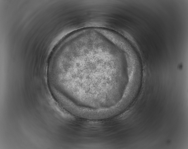 X0000116621035200912312134